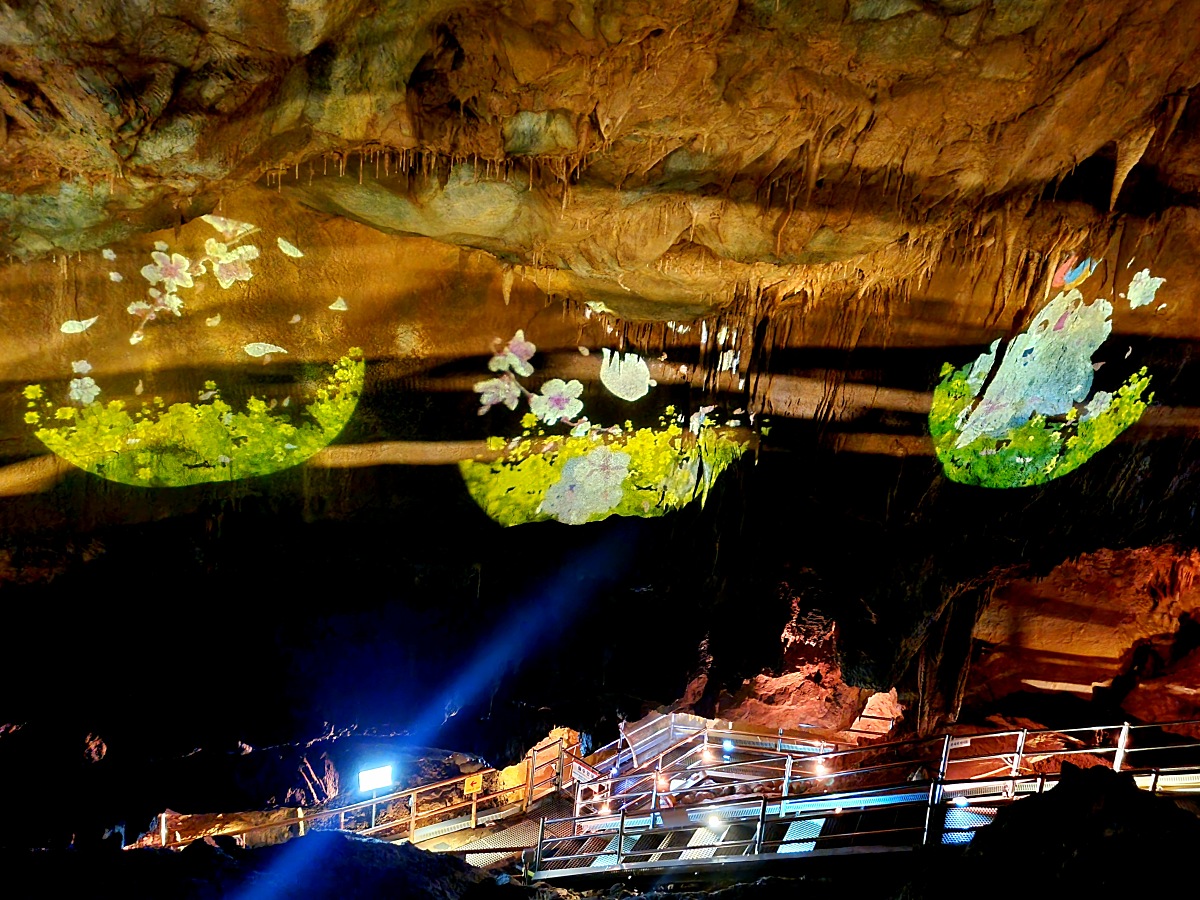 동해 가볼만한곳 천곡황금박쥐동굴 후기 비 오는 날 좋은 실내 여행지