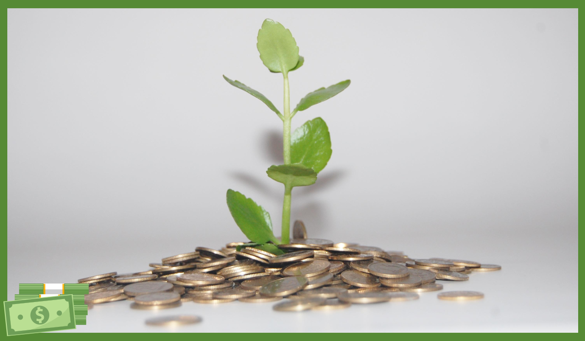 손목닥터 9988 포인트