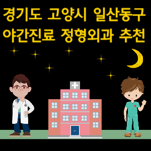 고양시 일산동구 야간진료 정형외과 추천