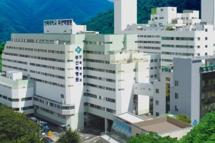 부산&amp;#44;대전&amp;#44;대구 상급종합병원 TOP리스트