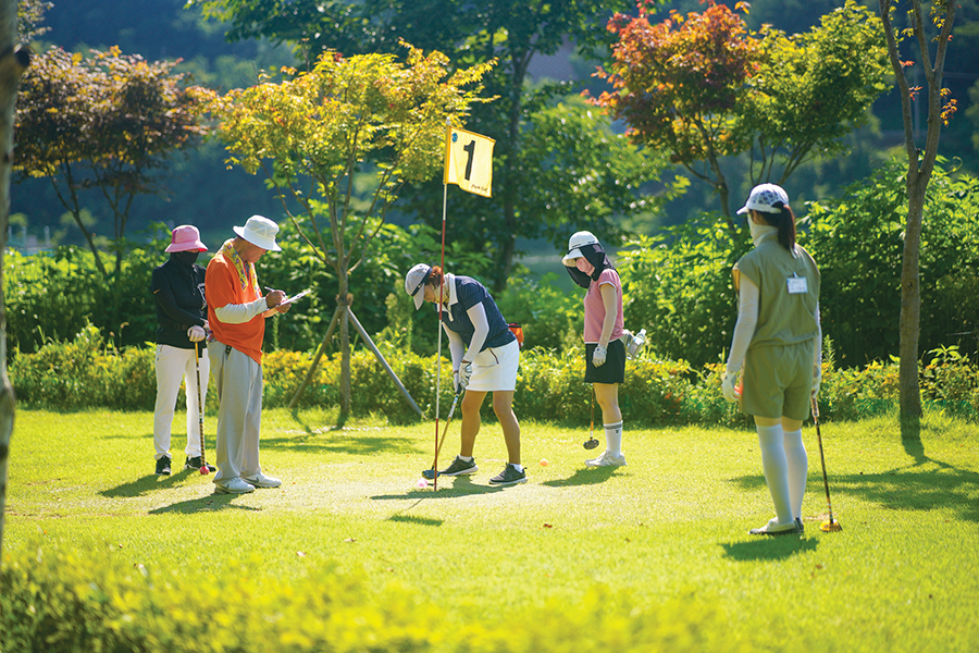 파크골프 처음 시작하는 방법|70대도 쉽게 배우는 입문 가이드