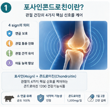포사인콘드로친-뜻-효능-가격-추천-내돈내산-후기