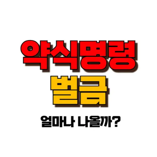 약식명령 벌금 썸네일