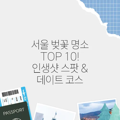서울 벚꽃 명소 TOP 10! 인생샷 스팟 & 데이트 코스