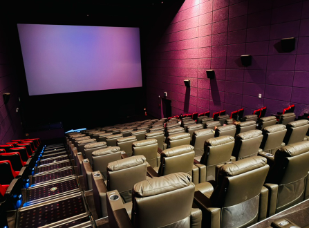 영화 소비쿠폰 유의사항