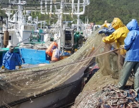 2025 기장멸치축제 대변항 일정 프로그램 교통및 주차안내