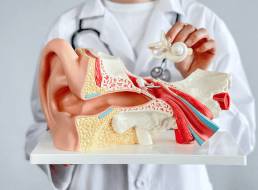 이명 치료 방법, 이명 증상