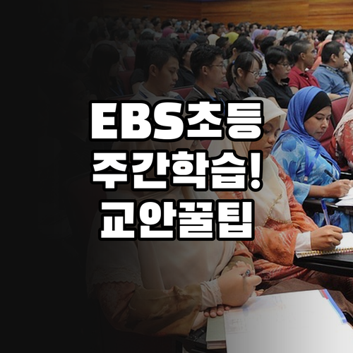 EBS 초등 학년별 주간 학습 안내와..
