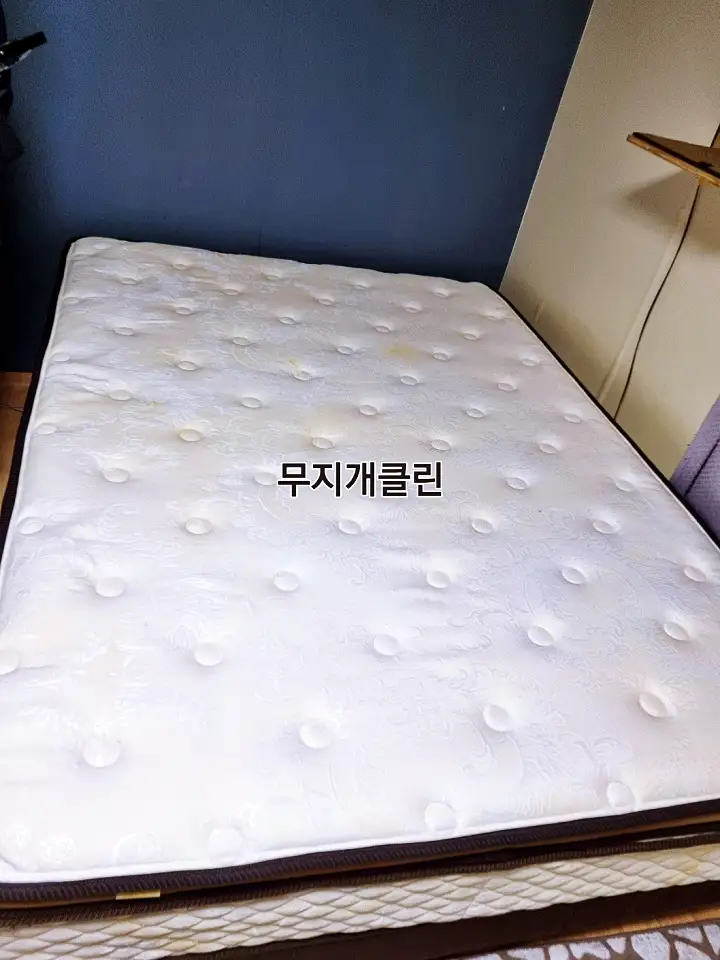 생생정보 매트리스 쇼파 의자 카페트 세탁 묵은 때 청소 전문가 연락처 및 의뢰