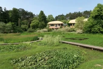 천리포 수목원 목련축제 입장료 여행코스_25