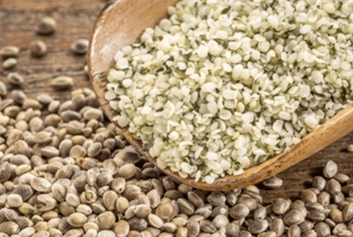 햄프씨드효능01