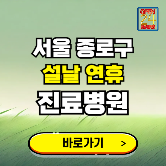 서울 종로구 설날 연휴 진료병원 찾기 ❘ 24시 응급 야간 심야 문여는 병원