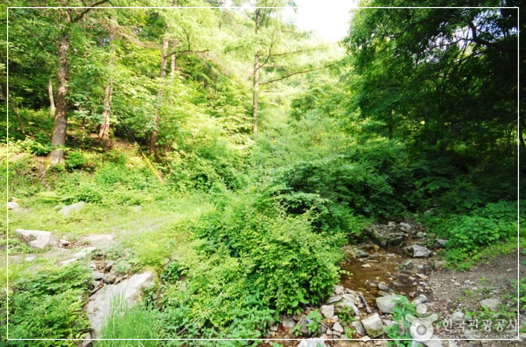 양평 가볼만한곳 베스트10 중미산 자연휴양림