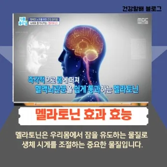 식물성 멜라토닌 효능_13