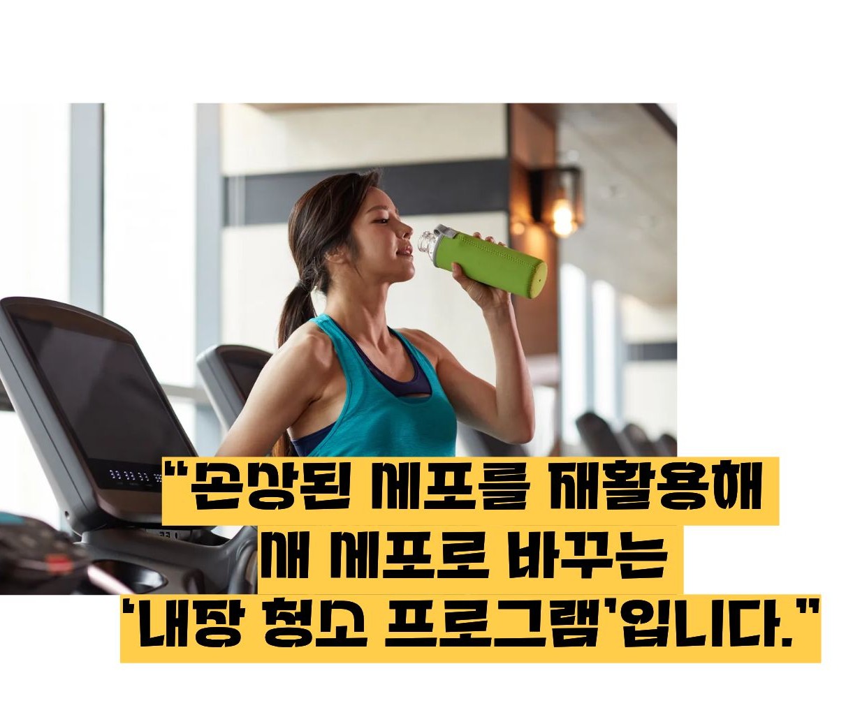 오토파지 뜻