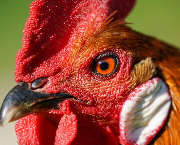 오늘의 운세 2023년 10월 25일