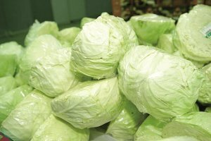 갱년기에 좋은 음식