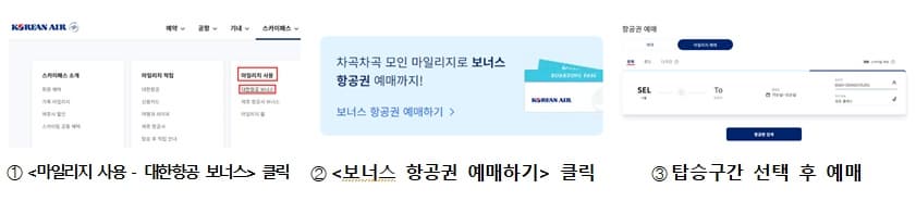 대한항공 마일리지 사용법 예시 이미지