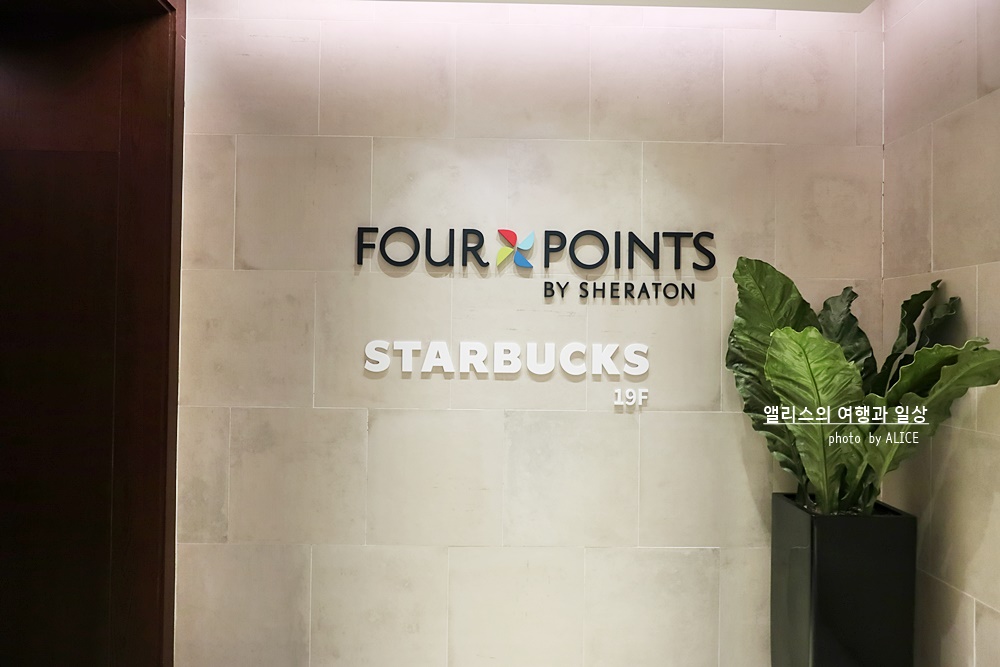 서울역 포포인츠 호텔 슈페리어 트윈룸 후기