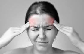 폴리코사놀의 효능 부작용 고르는법 하루 섭취량 쿠바산