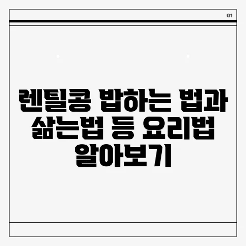 렌틸콩 밥하는 법과 삶는법 등 요리법 알아보기