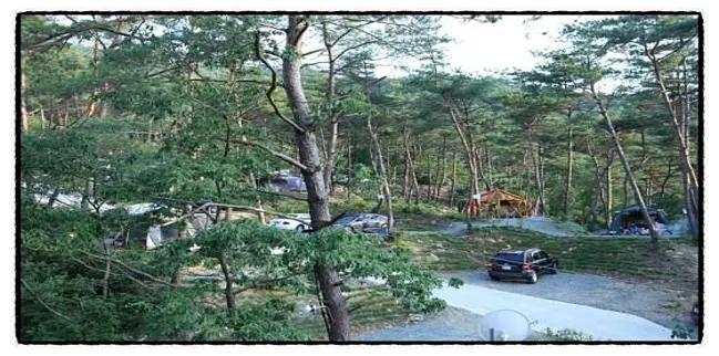 심청관광농원 꿈꾸는캠핑장