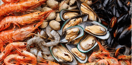 무릎통증 원인 관리방법 퇴행성 관절