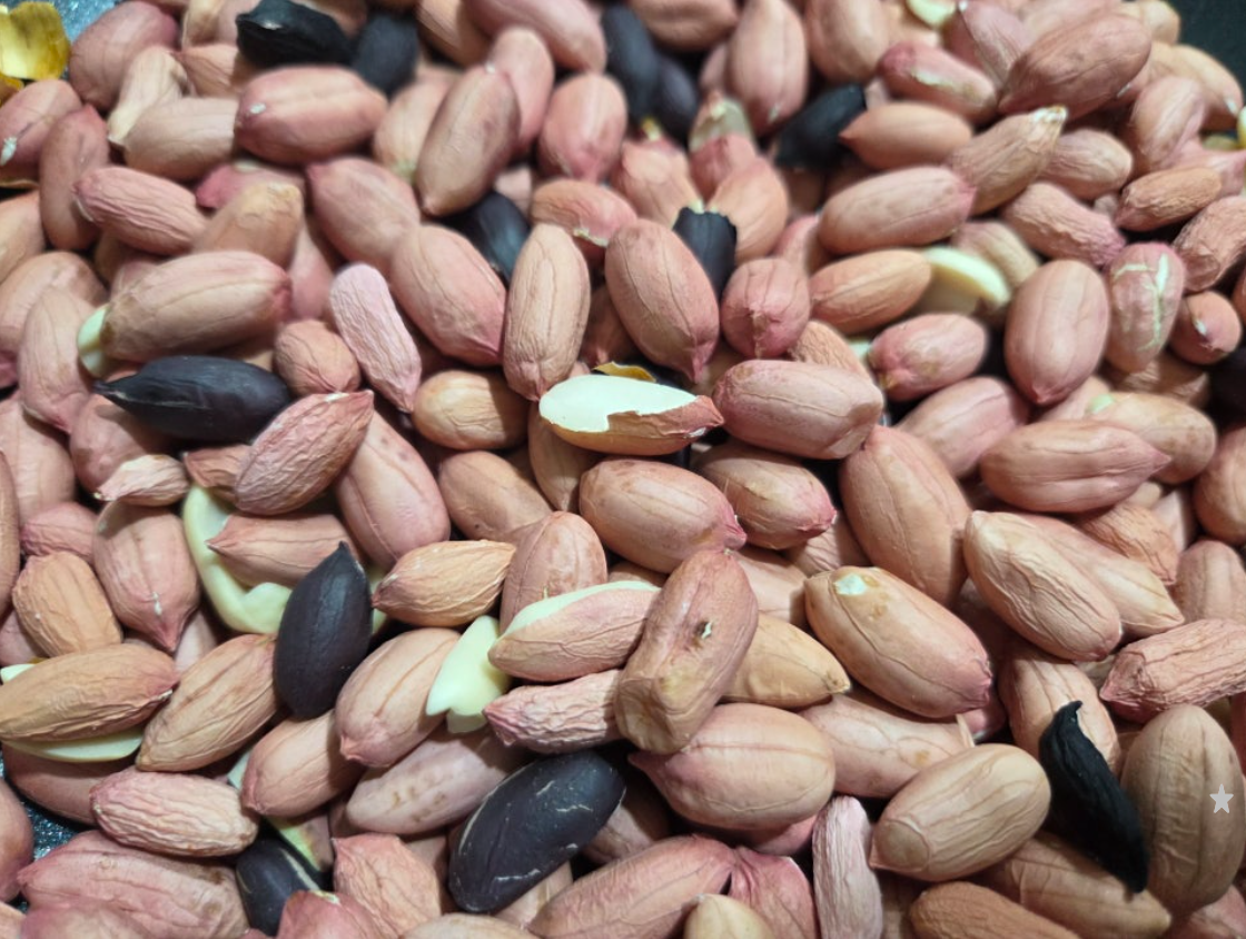 밭에서 나는 우유? 땅콩 효능 5가지와 하루 권장량 정리