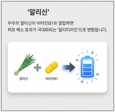 부추-알리신-효능