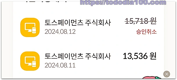 테무 구매후기-결제취소