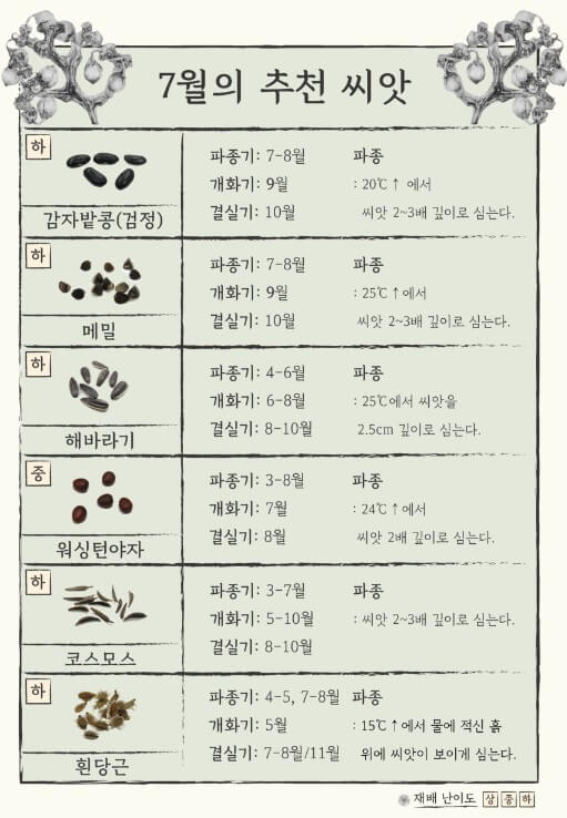 7월 추천 씨앗