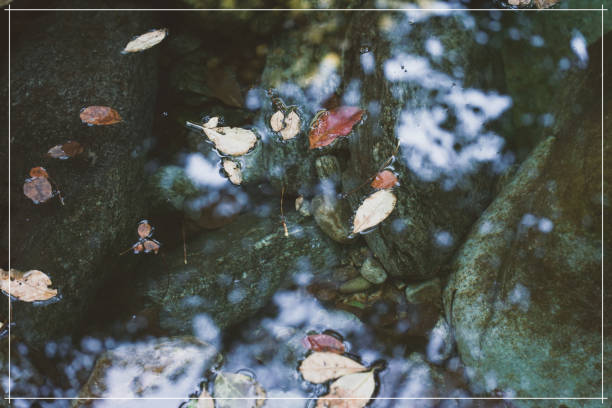 숲나들e_휴양림_예약방법3