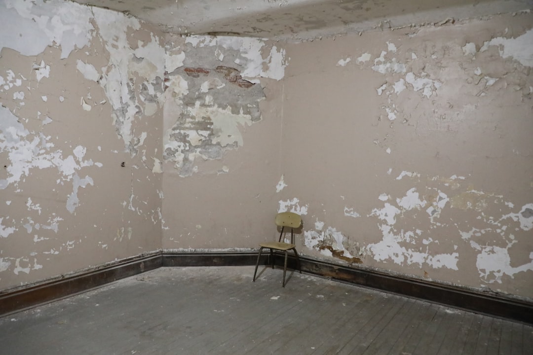 Mold.