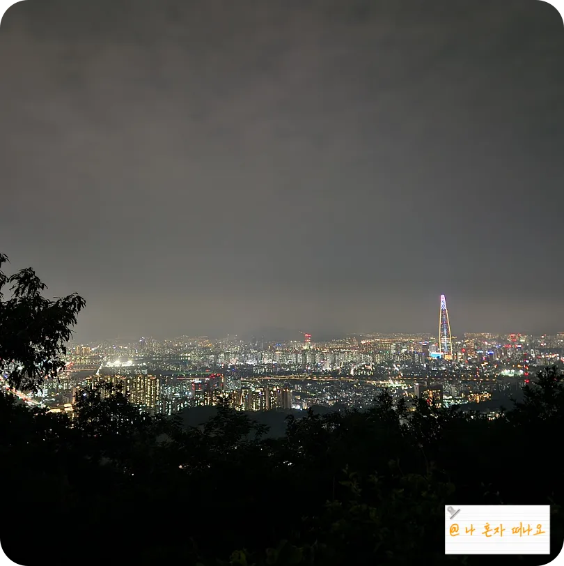 대모산정상에서-보는-롯데타워-야경