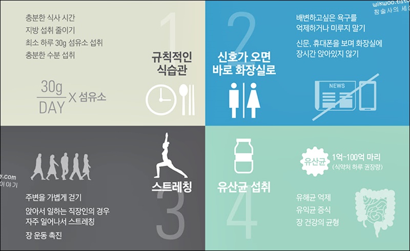 급성변비 해결법