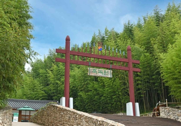 죽녹원