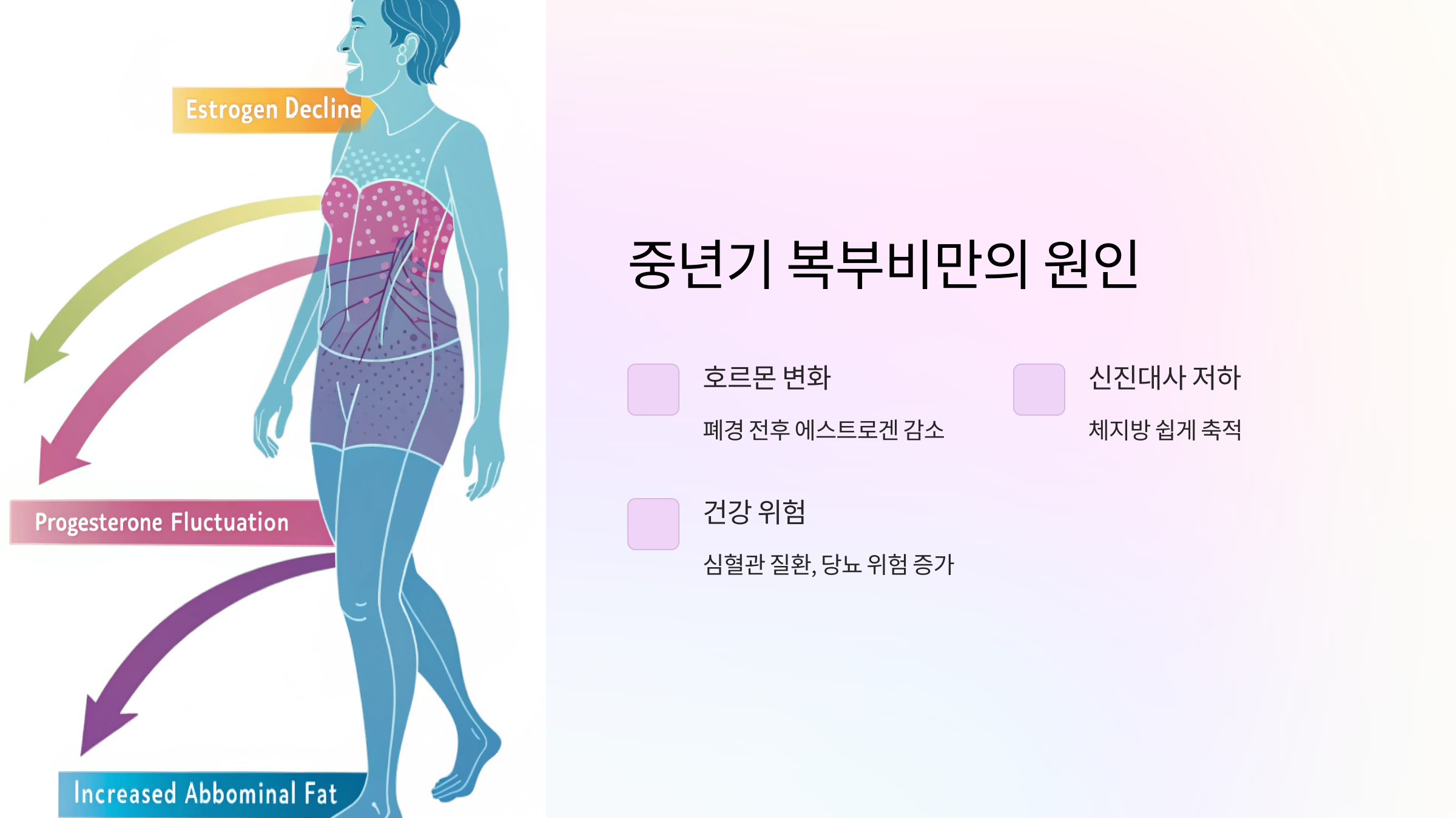 중년기 복부비만의 원인