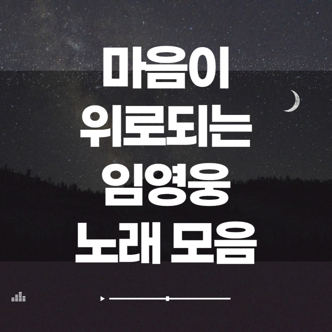 마음이 위로되는 임영웅 노래모음 신곡 명곡 다시듣기