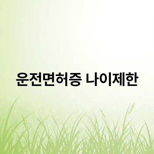 운전면허증 나이제한