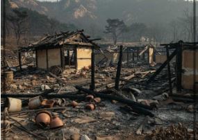 산불 재난지원금 신청하기