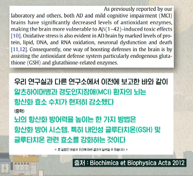 글루타치온 효능