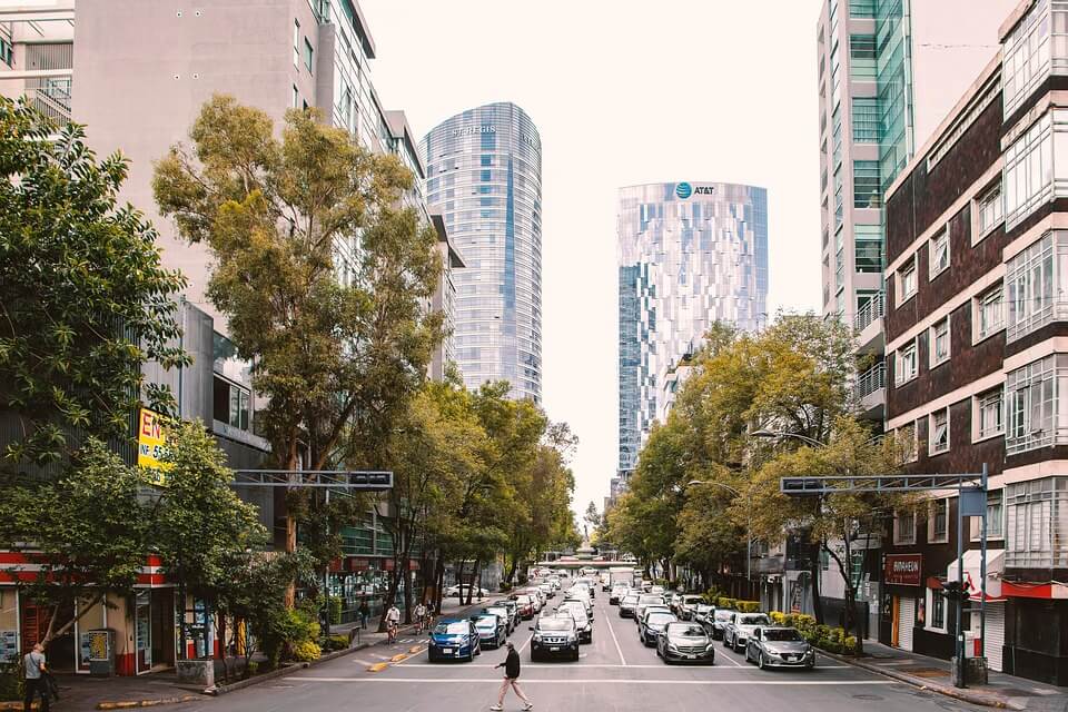 AI가 제안하는 도시 숲의 기후 복원력 및 탄소 중립