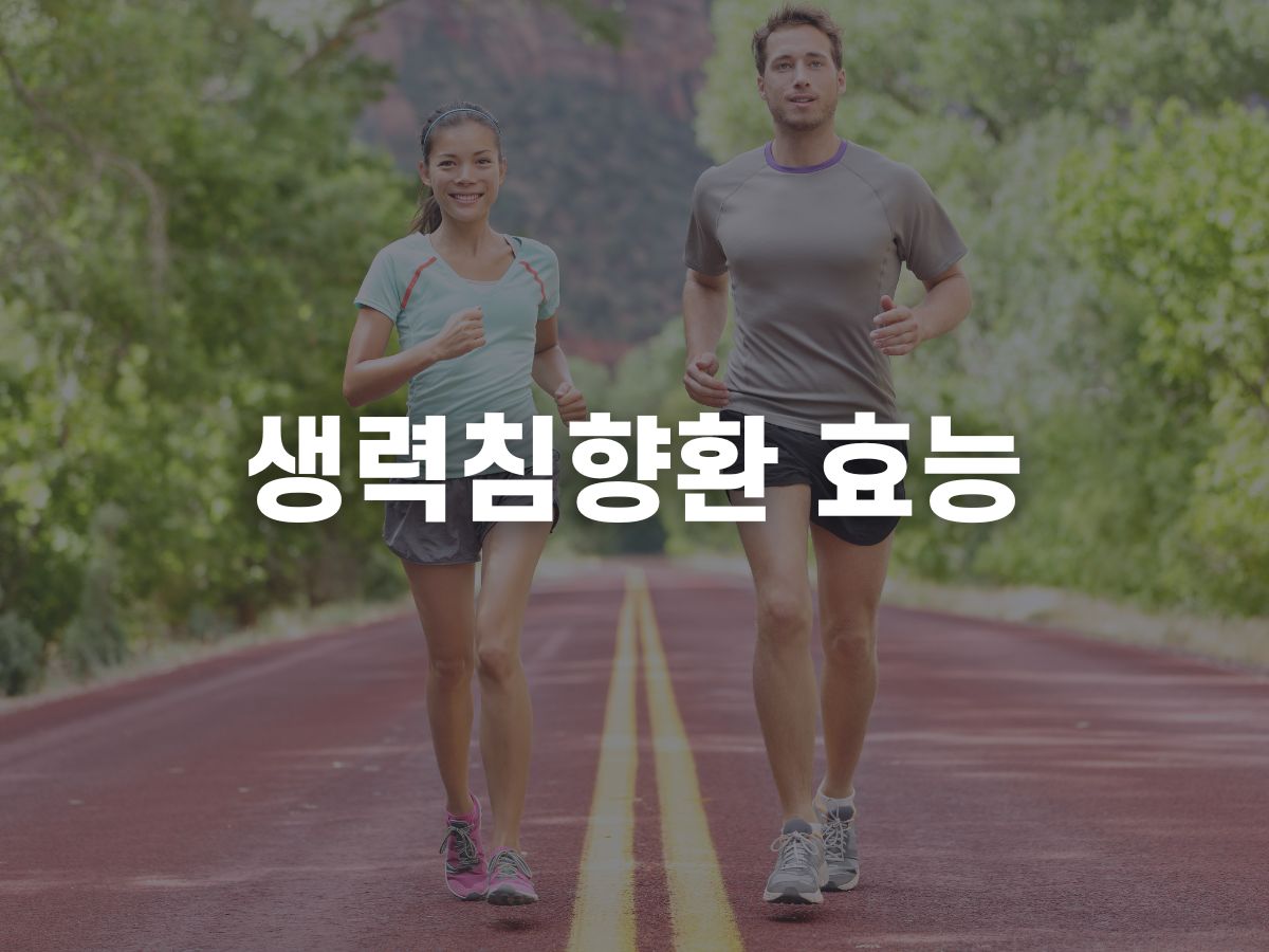 농협 생력침향환 효능