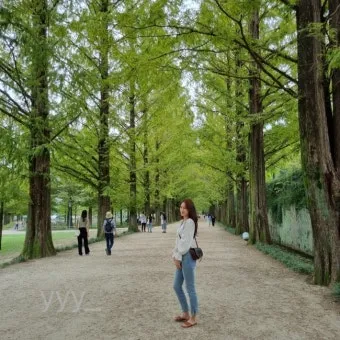담양 여행코스 추천 죽녹원 포함 여름 힐링 코스 안내_9