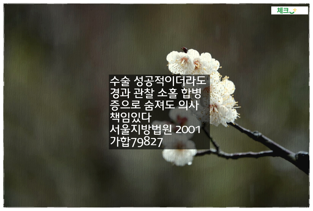 수술 성공적이더라도 경과 관찰 소홀 합병증으로 숨져도 의사 책임있다