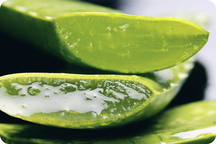 알로에-효능