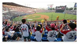 응원과 함께 즐기는 2025 KBO 올스타전 스페셜 굿즈 & 기념품 소개