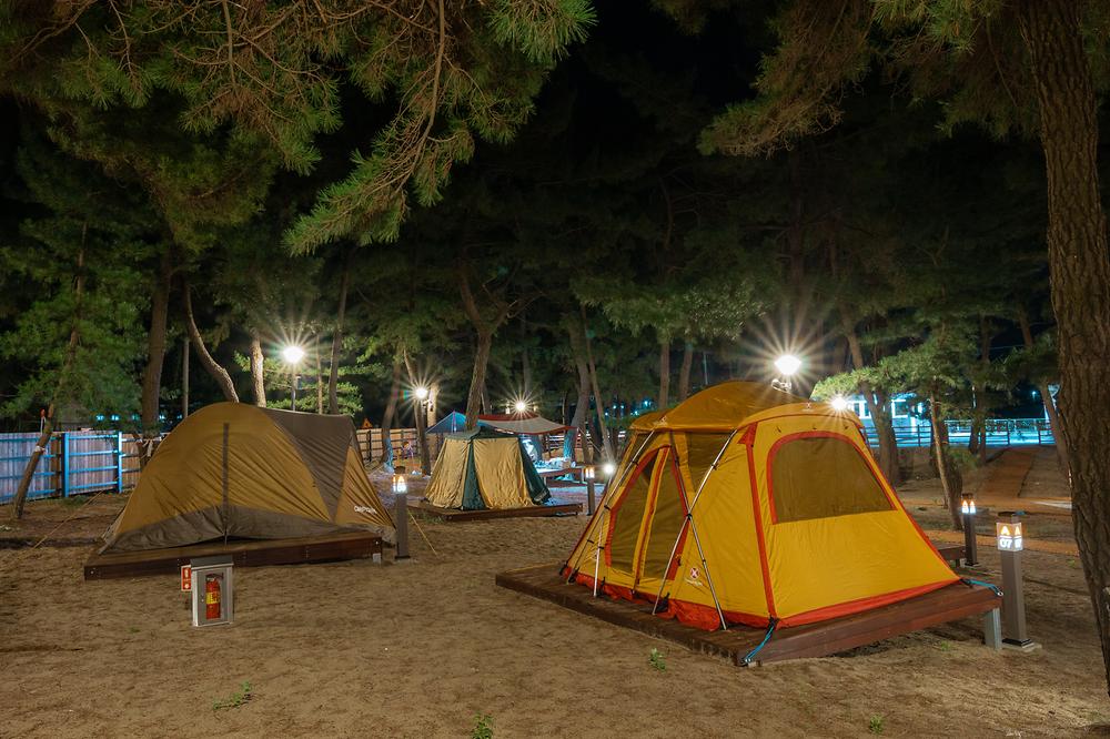 강원도 삼척 맹방비치캠핑장 소개