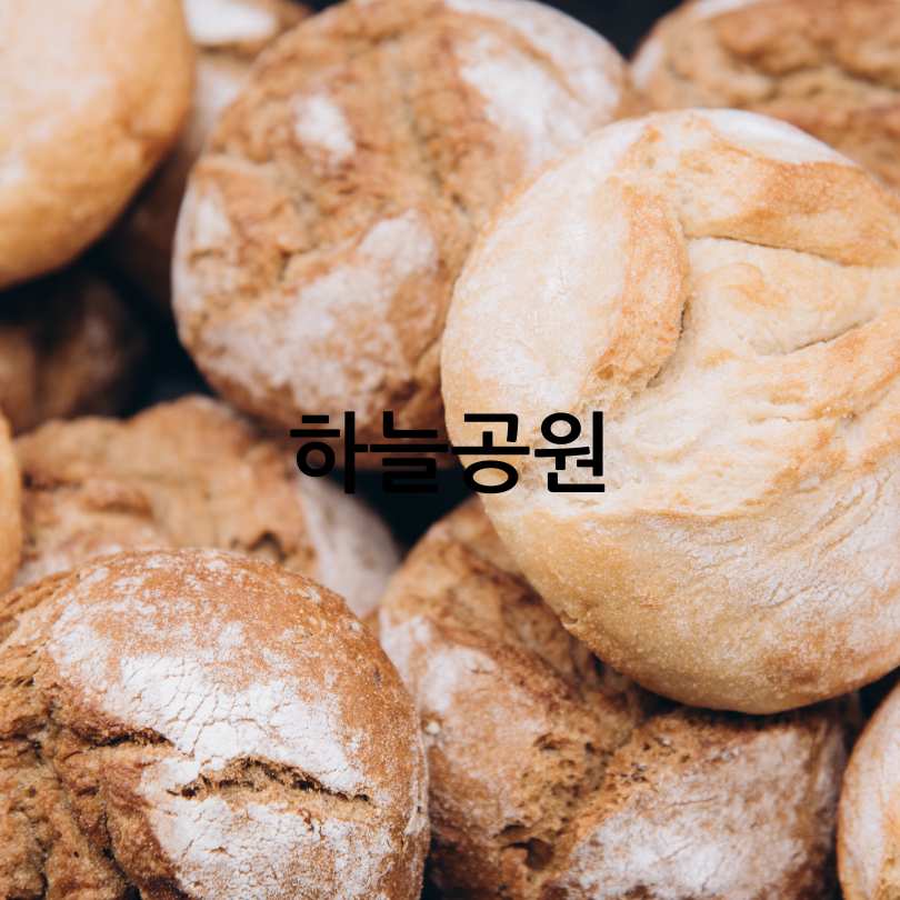 제2회 전국빵지자랑