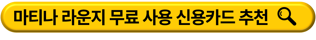인천공항 마티나 라운지 무료 이용 및 제휴카드 조회